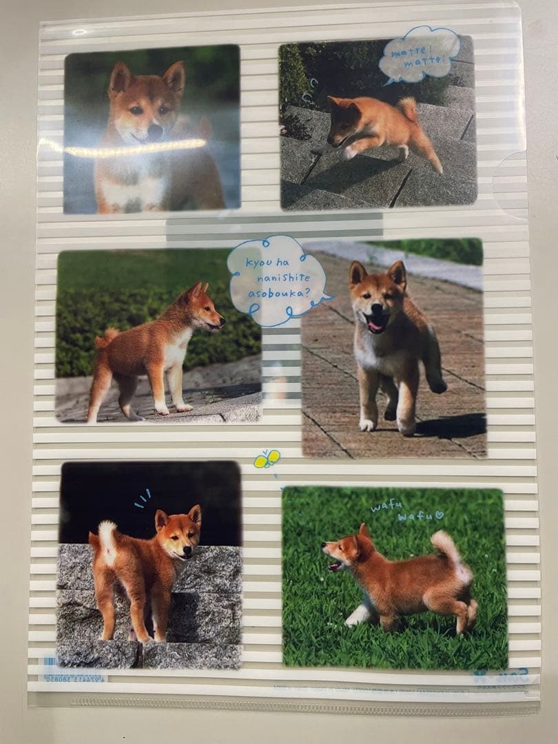 平成レトロ サンエックス クリアファイル 犬 8枚セット