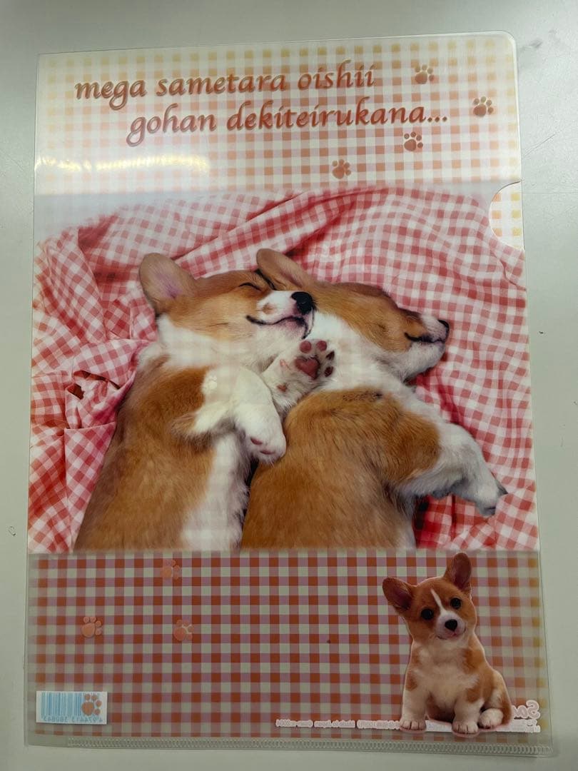 平成レトロ サンエックス クリアファイル 犬 8枚セット