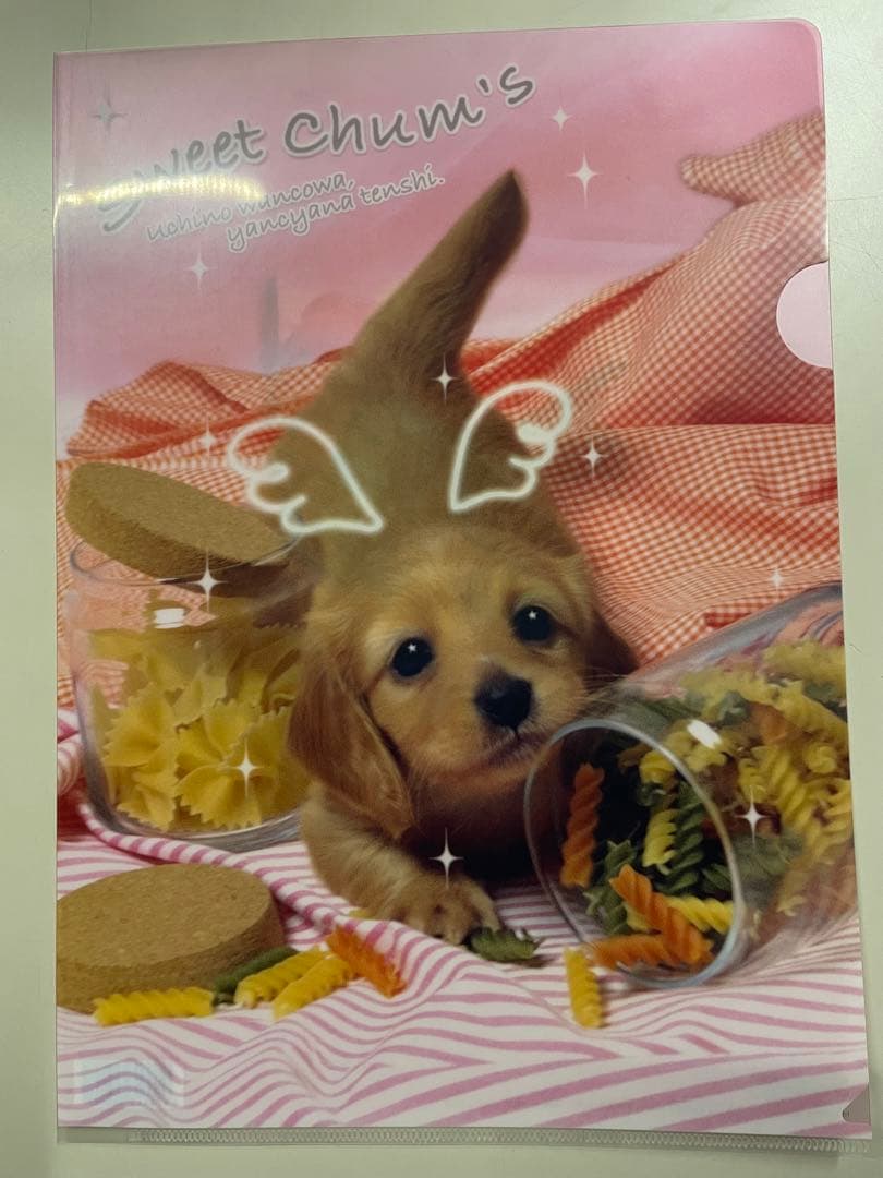 平成レトロ サンエックス クリアファイル 犬 8枚セット