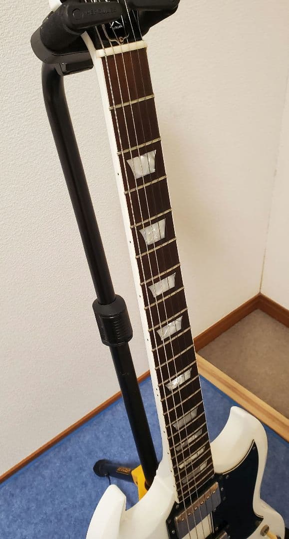 FGN NSG100-SW[カリマンタン・エボニー指板] フィンガーボード