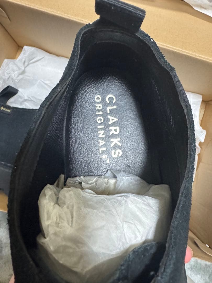 CLARKS デザートトレックGore-Tex