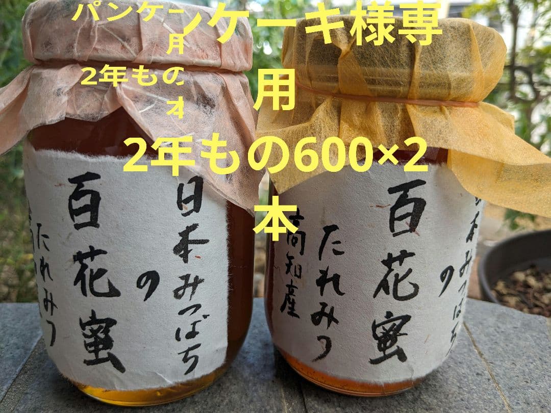 日本ミツバチ 蜂蜜 令和7年 採れたて 600g×2本 たれ蜜