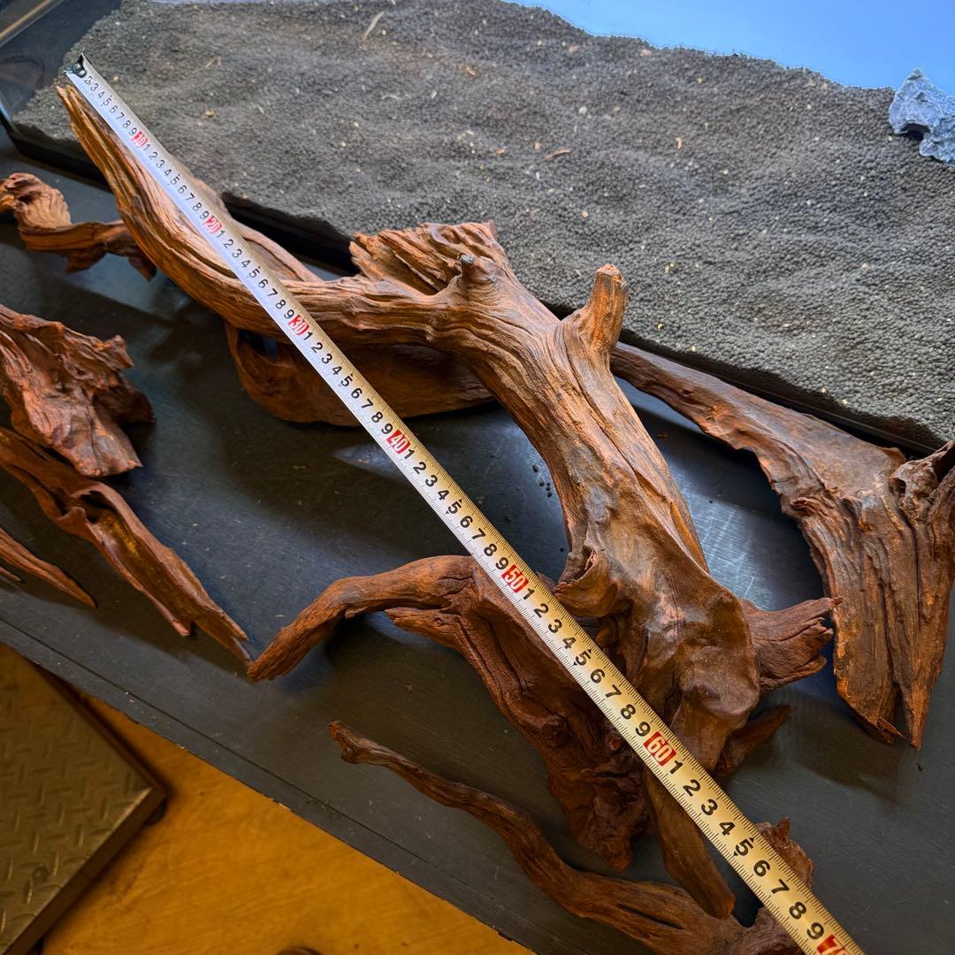 これで完璧！アクアリウムにおける流木の選び方 | AQUALASSIC MRW-7188