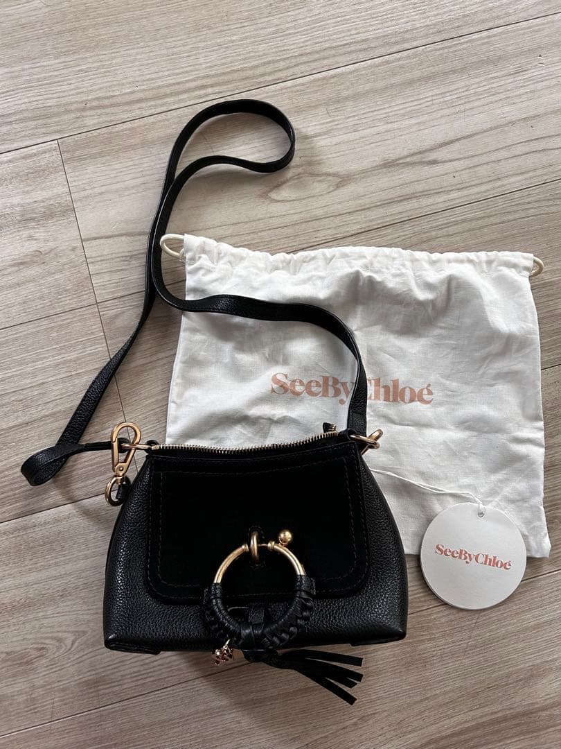 カメルーン産 イネルミスサスマタカブト 25mm