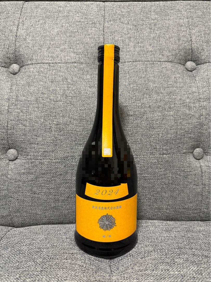 限定価格！新政 タンジェリン 山吹 2024 - メルカリ