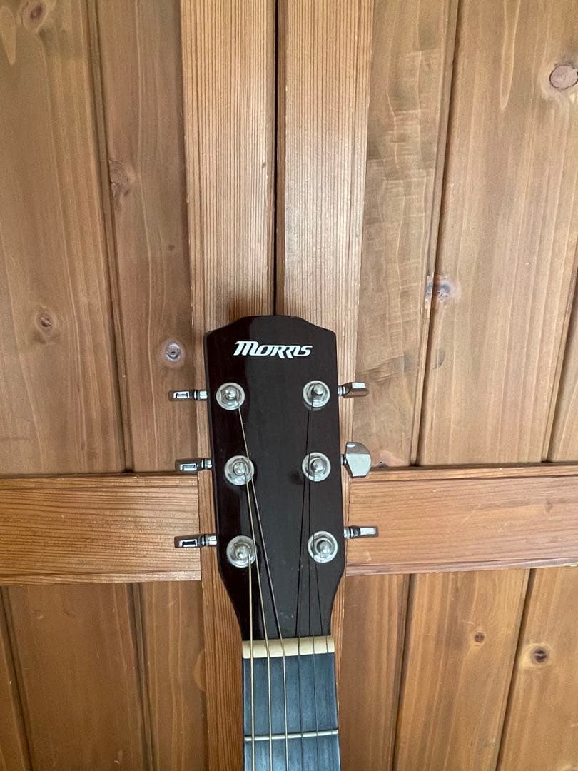 Morris アコースティックギター 6弦