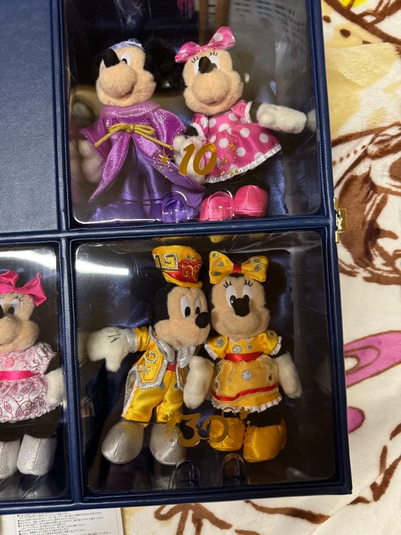 東京ディズニーリゾート30周年限定 ぬいばセット ミッキー ミニー 希少