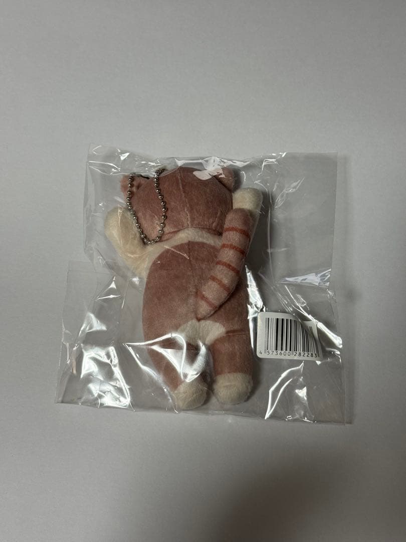 ずっと真夜中でいいのに ずとまよ しょがスト ショガスト アウトレット