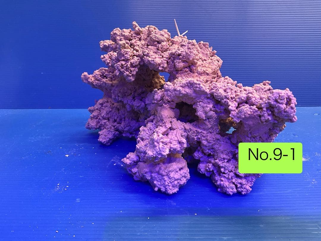 人工ライブロック お魚たちの隠れ家 No.9-1CO2無害化処理済