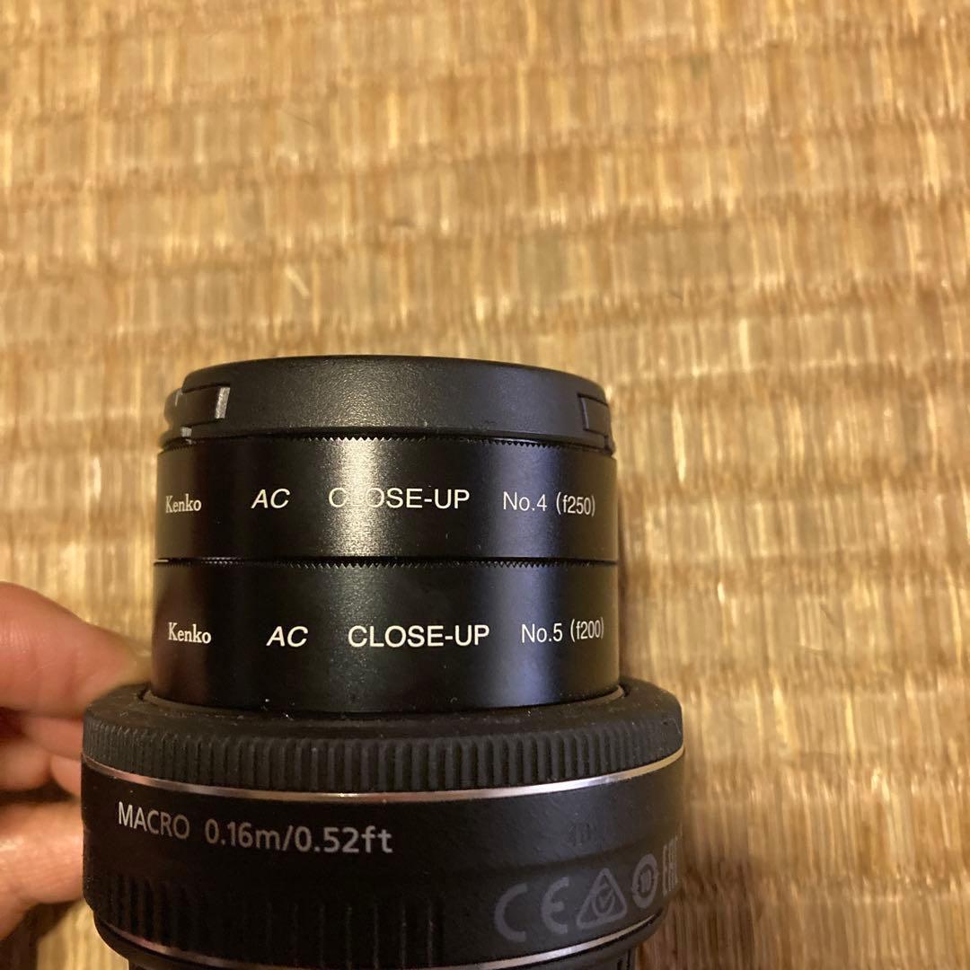 Canon EFS 24mm マクロレンズ＋ Kenko クローズアップレンズ