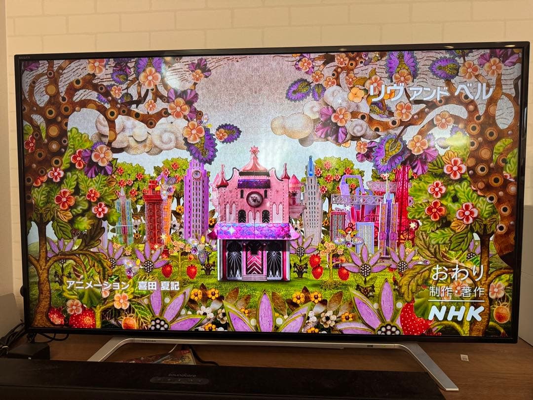 東芝 REGZA 49Z700X 難あり品