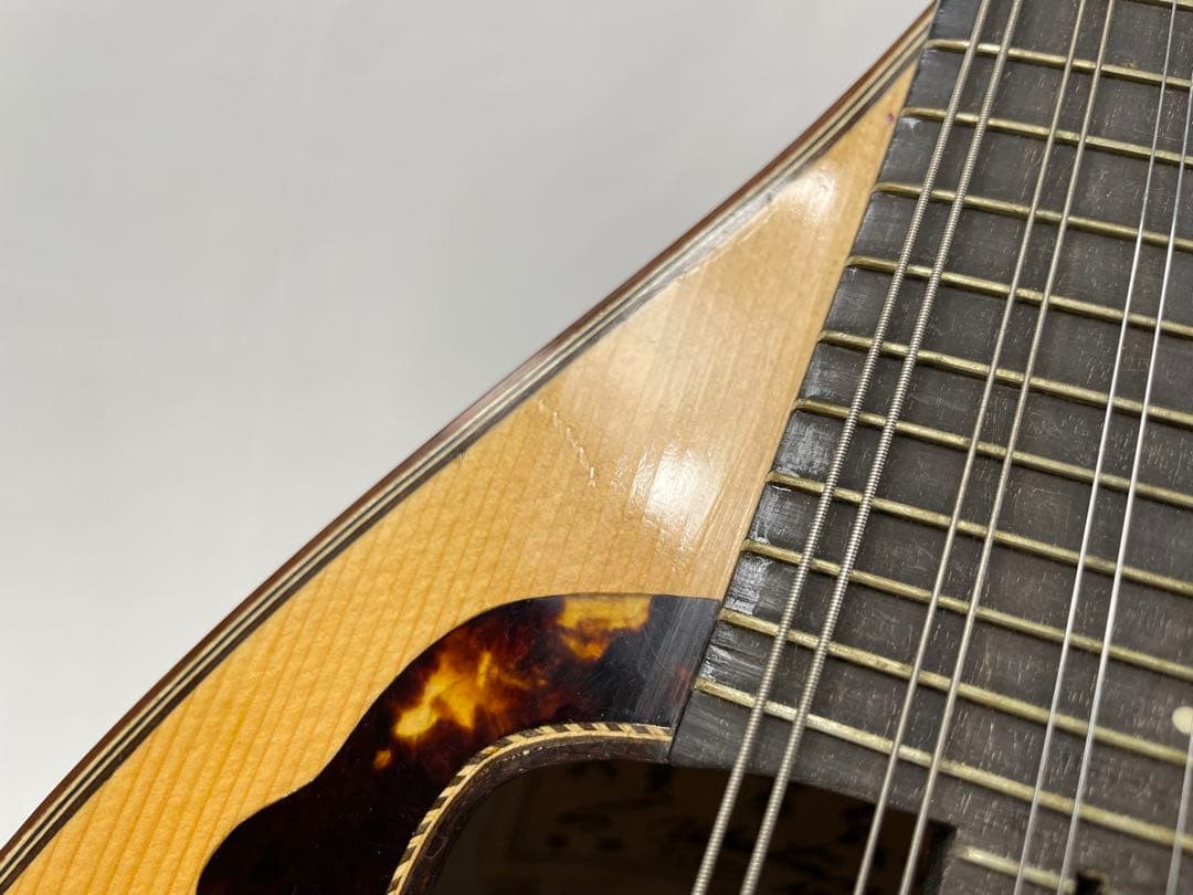 渡辺/ワタナベ ハイエンドオーダーマンドリン 楽器・機材