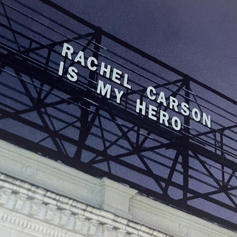 マット額装品/David Horvitz /デヴィッド・ホーヴィッツ - メルカリ