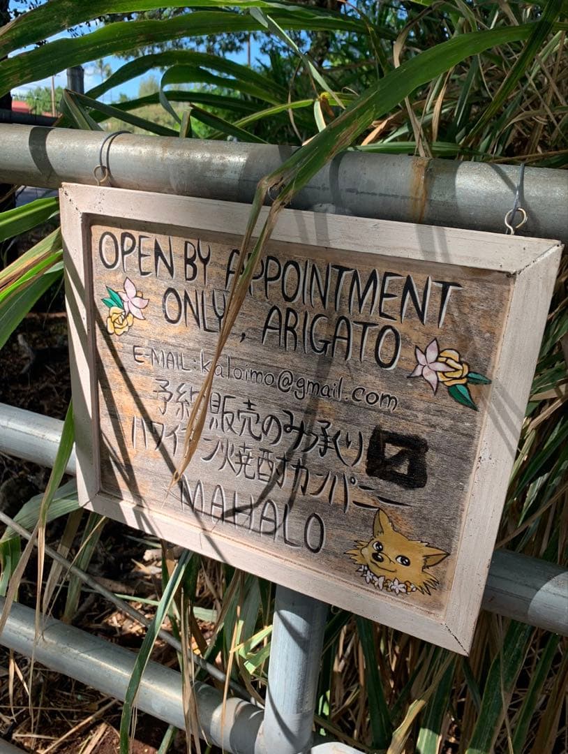 希少ボトル】浪花 × ハワイ 限定焼酎 バンザイストロング 2019