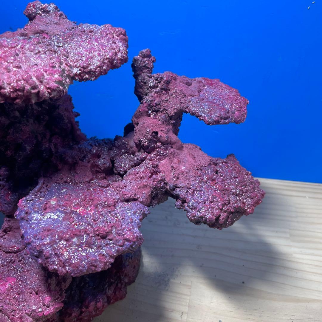 人工ライブロック RR78 アク抜き済み安心塗料使用