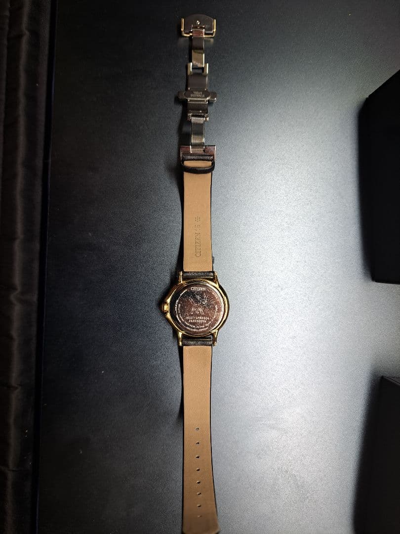 CITIZEN ウオッチ ブラッキーモデル