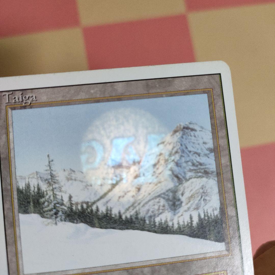 MTG Taiga 3ED英 1枚