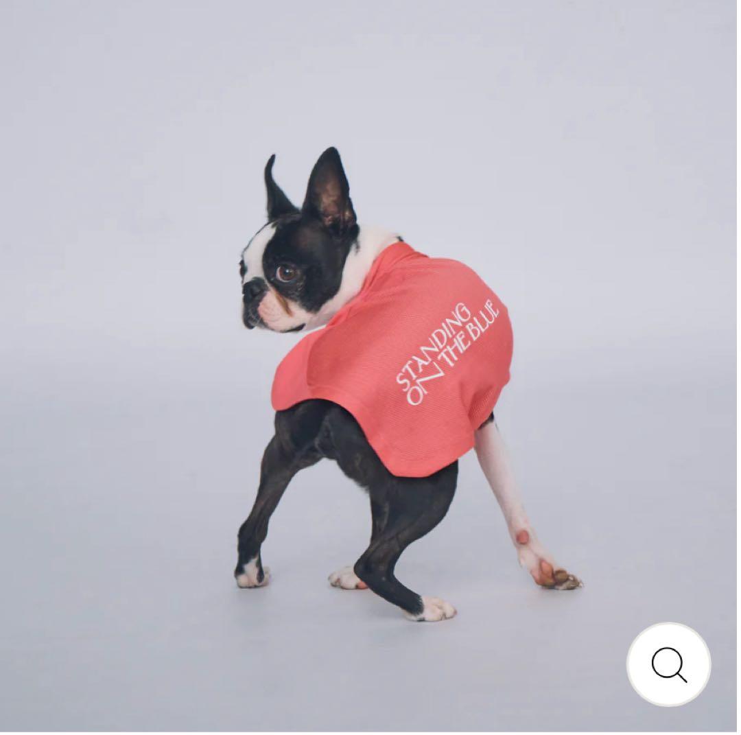 スタンディングオンザブルー 大型犬 犬服 タンクトップ - メルカリ
