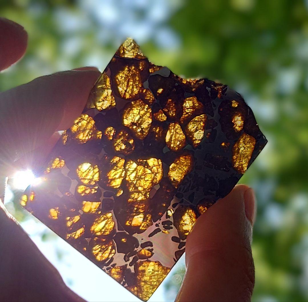 30.2g イミラック パラサイト 隕石 Imilac ⭐⭐