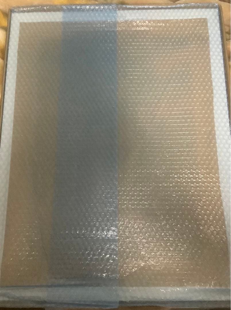 ピロ水先生直筆サイン入り複製原画 地上ひかげ bunnyはにかみ、彼女は恋をする