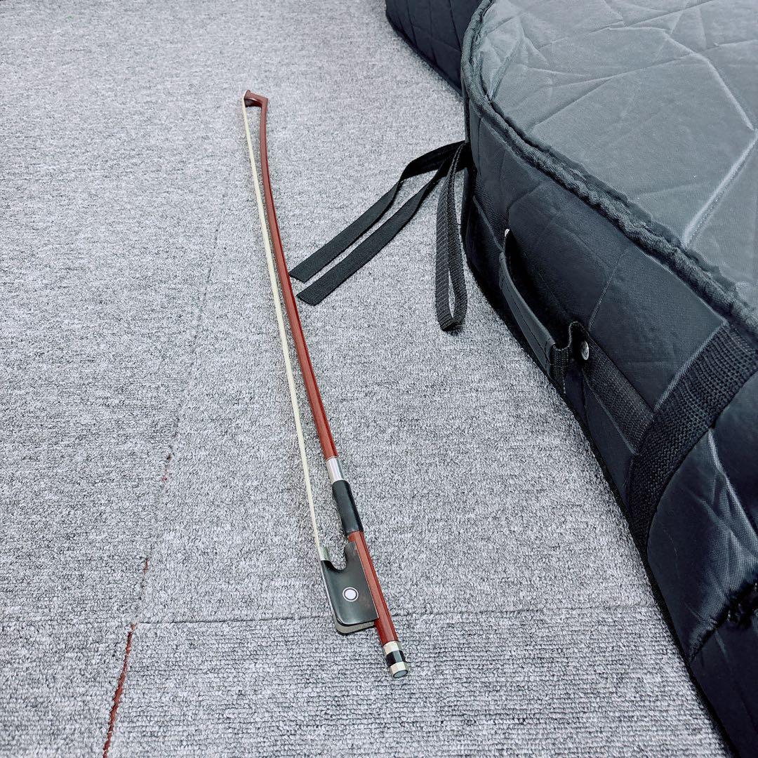 Carlo Giordano SC-100 チェロ 4/4 Anno2018