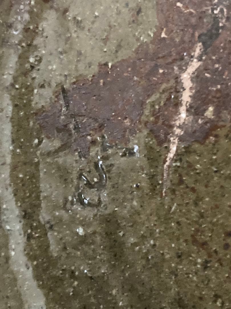 宮城智 30cm 大型魚紋鉢 やちむん 壷屋焼