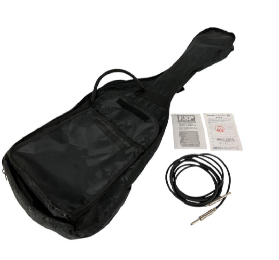 Grass Roots GUITARS エレキギター グラスルーツ ソフトケース Grass