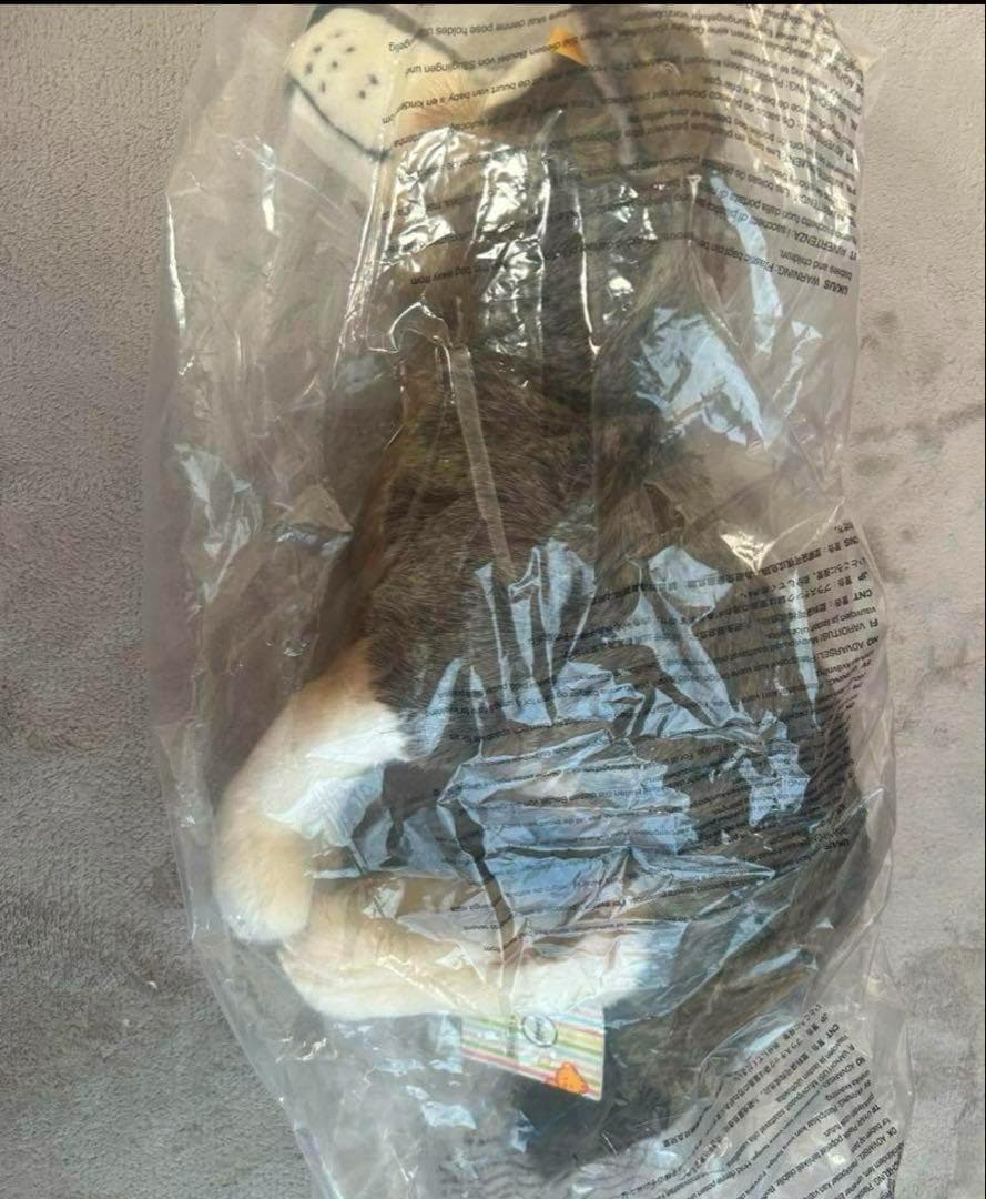 正規品 steiff シュタイフ オオカミ 40cm 狼 ぬいぐるみ