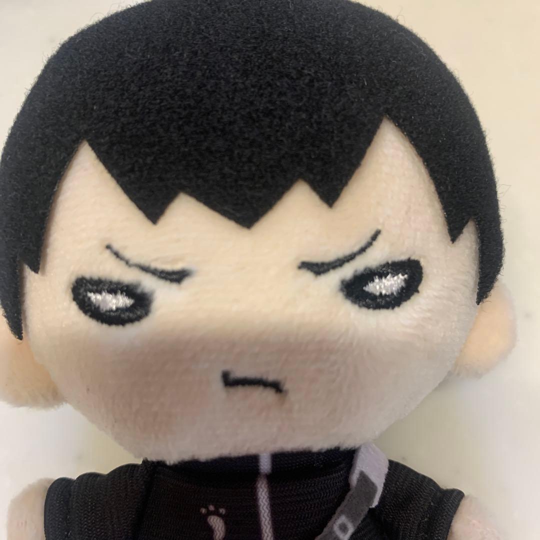 ハイキューぬいぐるみ　にとたん　影山