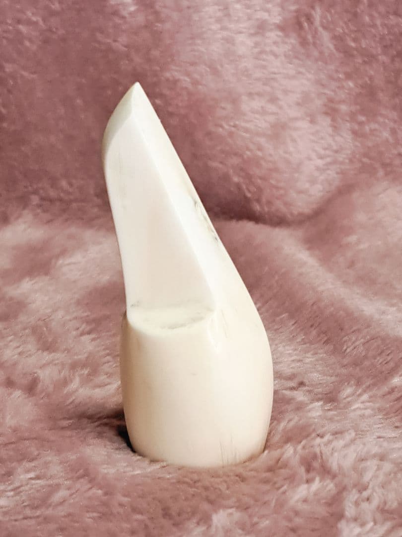 入手困難】琉球三線のツメ 爪 バチ 象牙調 象牙色 - メルカリ