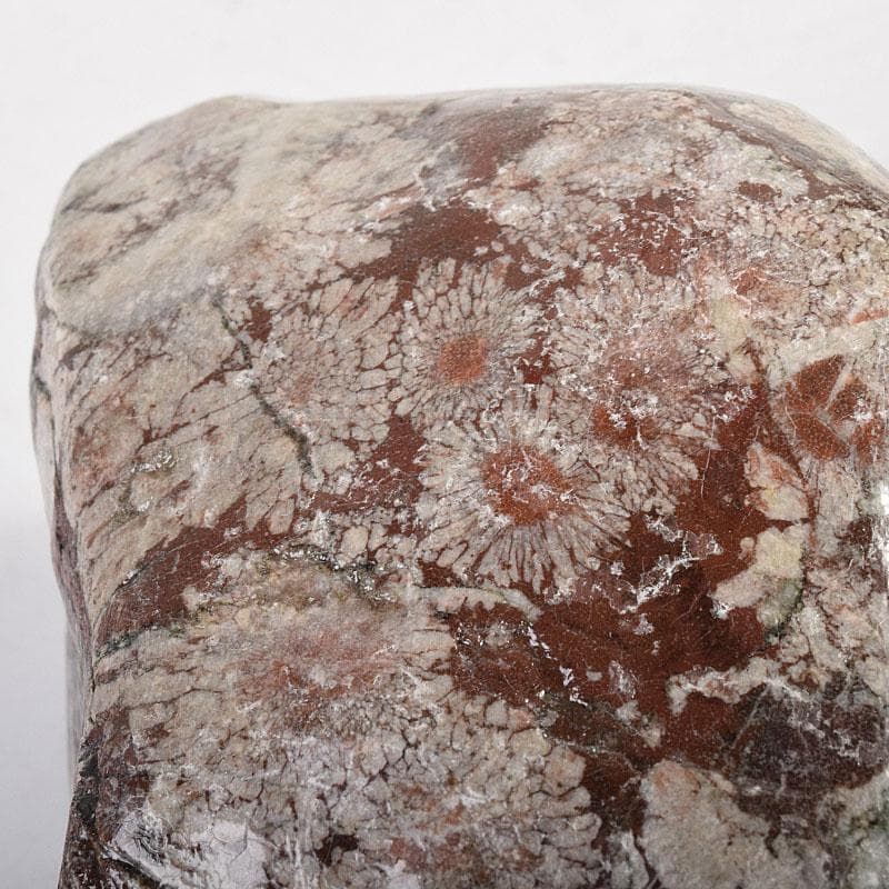 天然石 鑑賞石 菊花石 置物 重さ約1423g V R8540