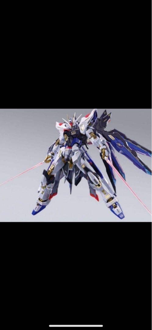 メタルビルド L BUILD ストライクフリーダムガンダム2024未開封