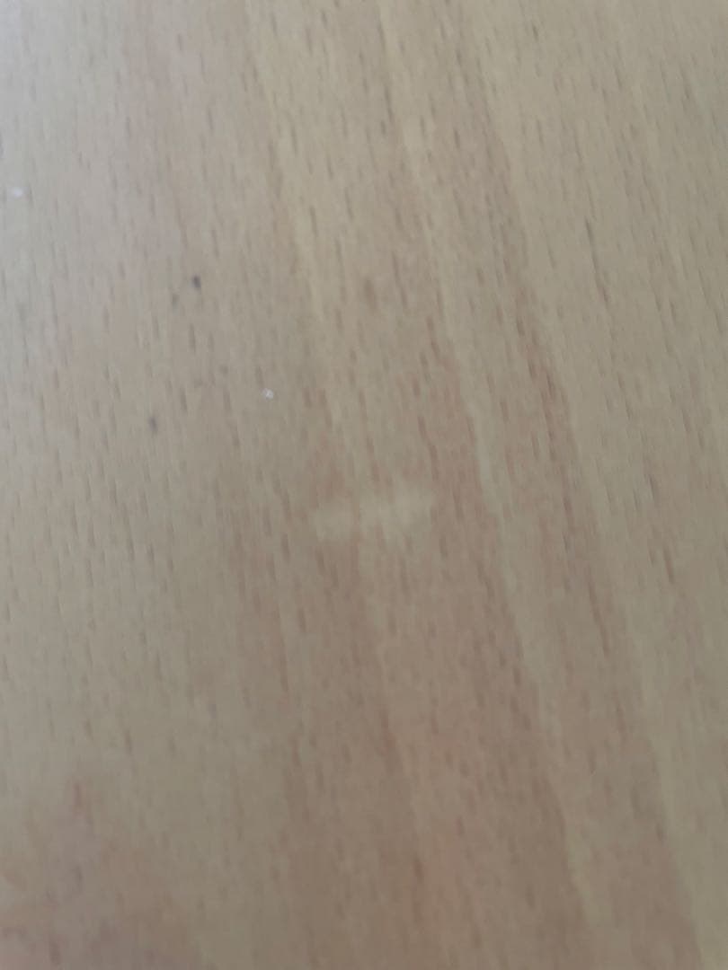 Fritz Hansen フリッツハンセン Bテーブル スーパー円テーブル