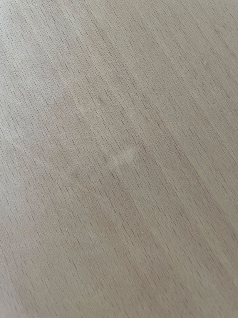 Fritz Hansen フリッツハンセン Bテーブル スーパー円テーブル