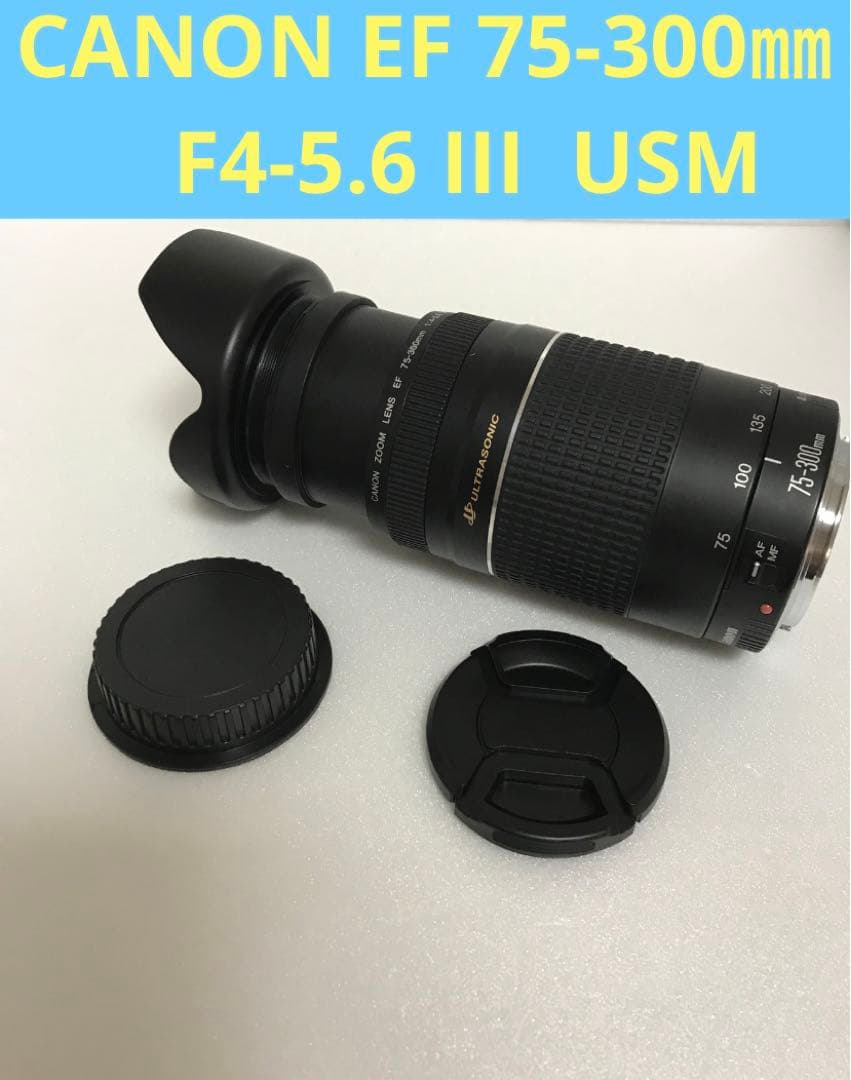 望遠レンズ/キャノン/イベント/スポーツ/Canon EF75-300㎜