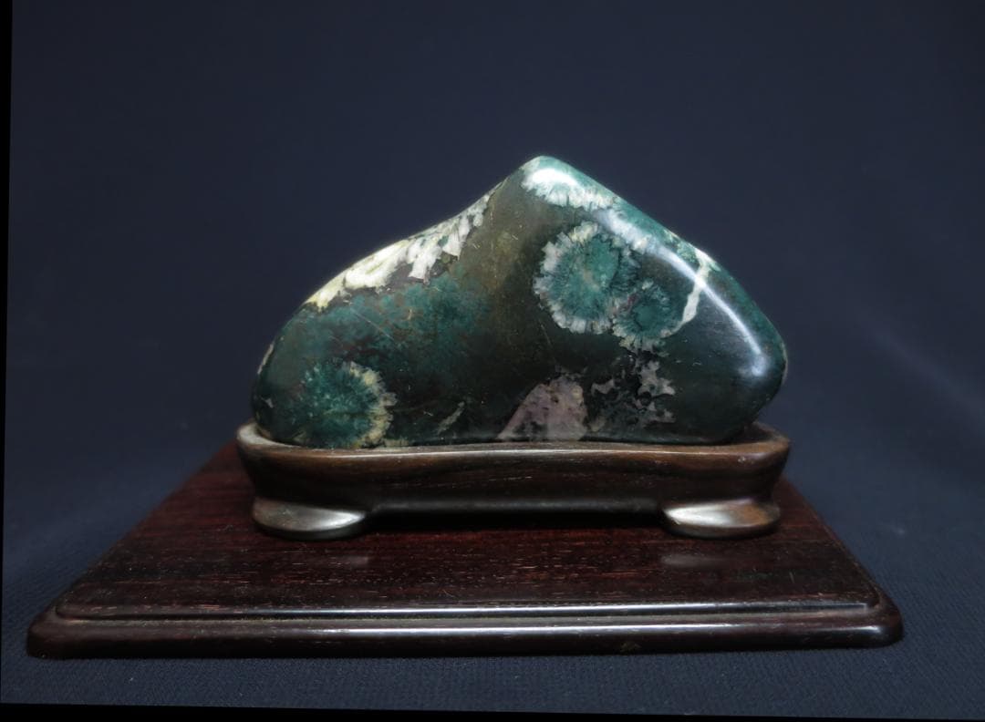 緑母岩にたくさんの花 ☆ 菊花石 鑑賞石 盆栽 菊花石 根尾