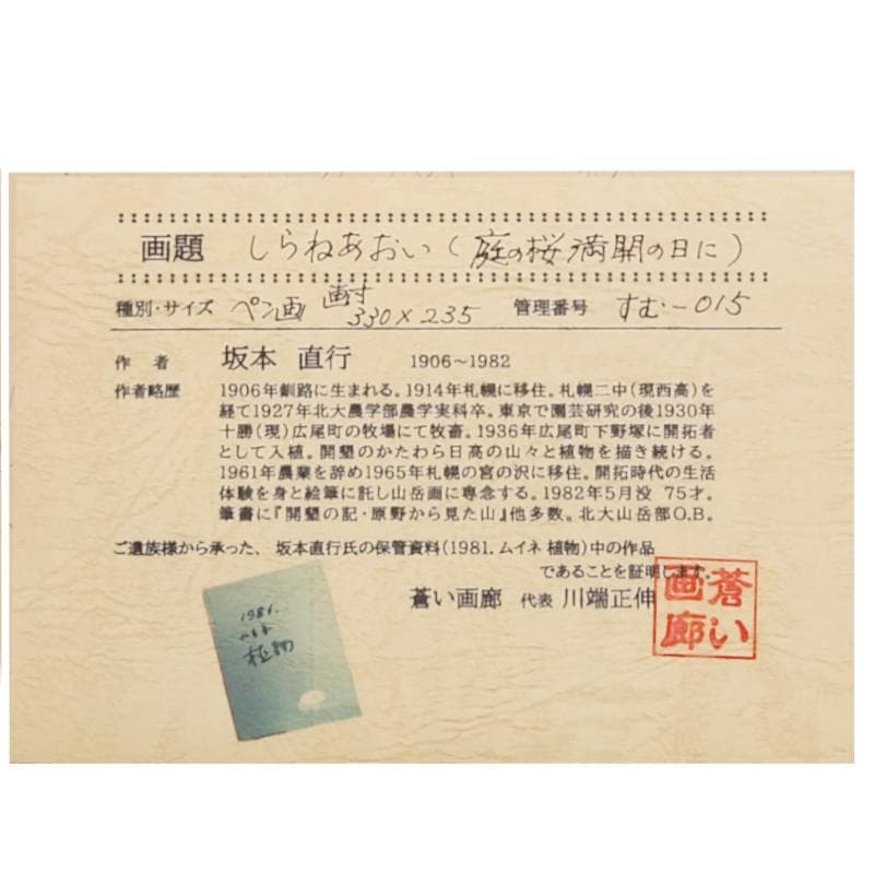 ☆坂本直行☆「 しらねあおい（庭の桜満開の日に）」ペン画！