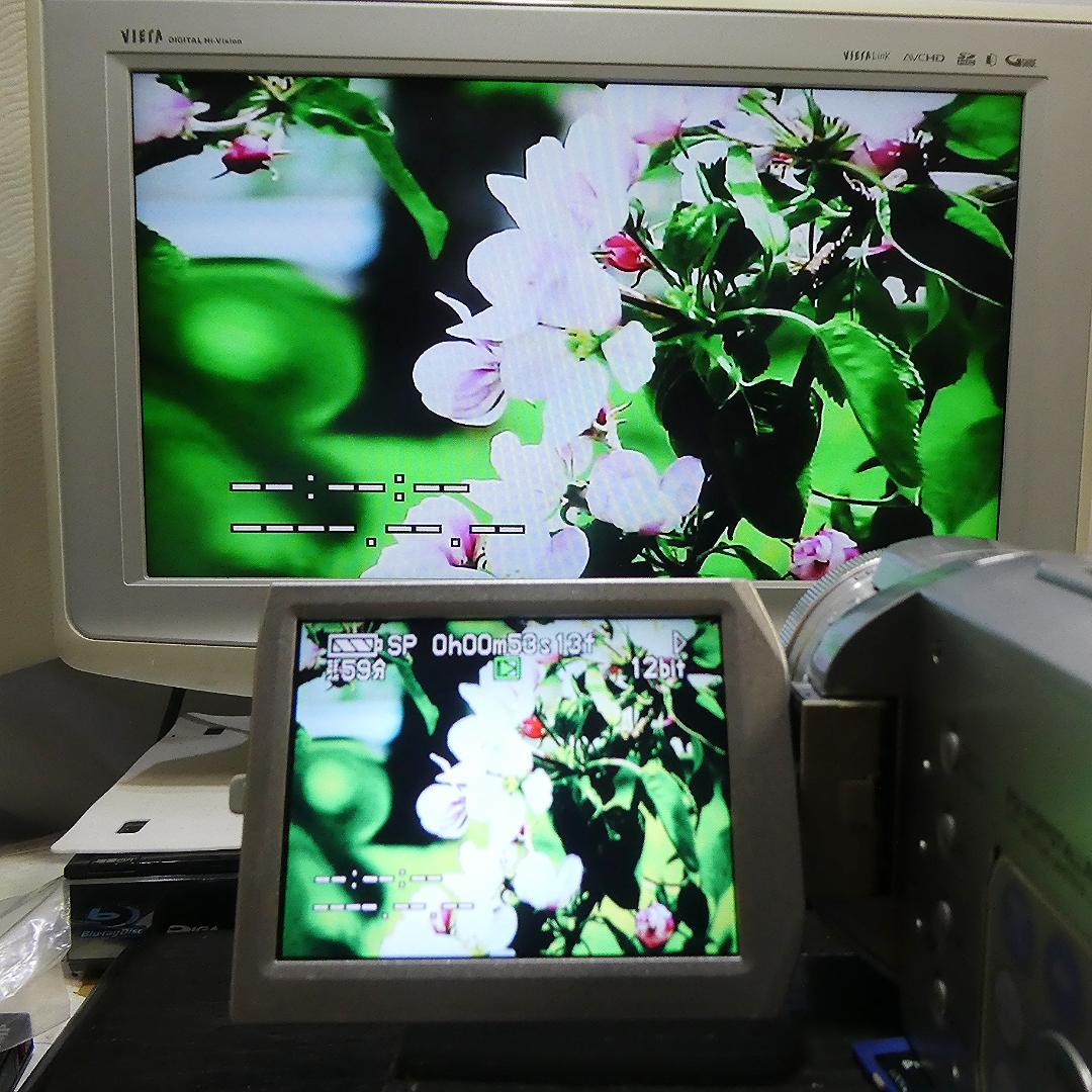 動作良好 パナソニックNV-GS400 MiniDVビデオ　デジタルダビングに