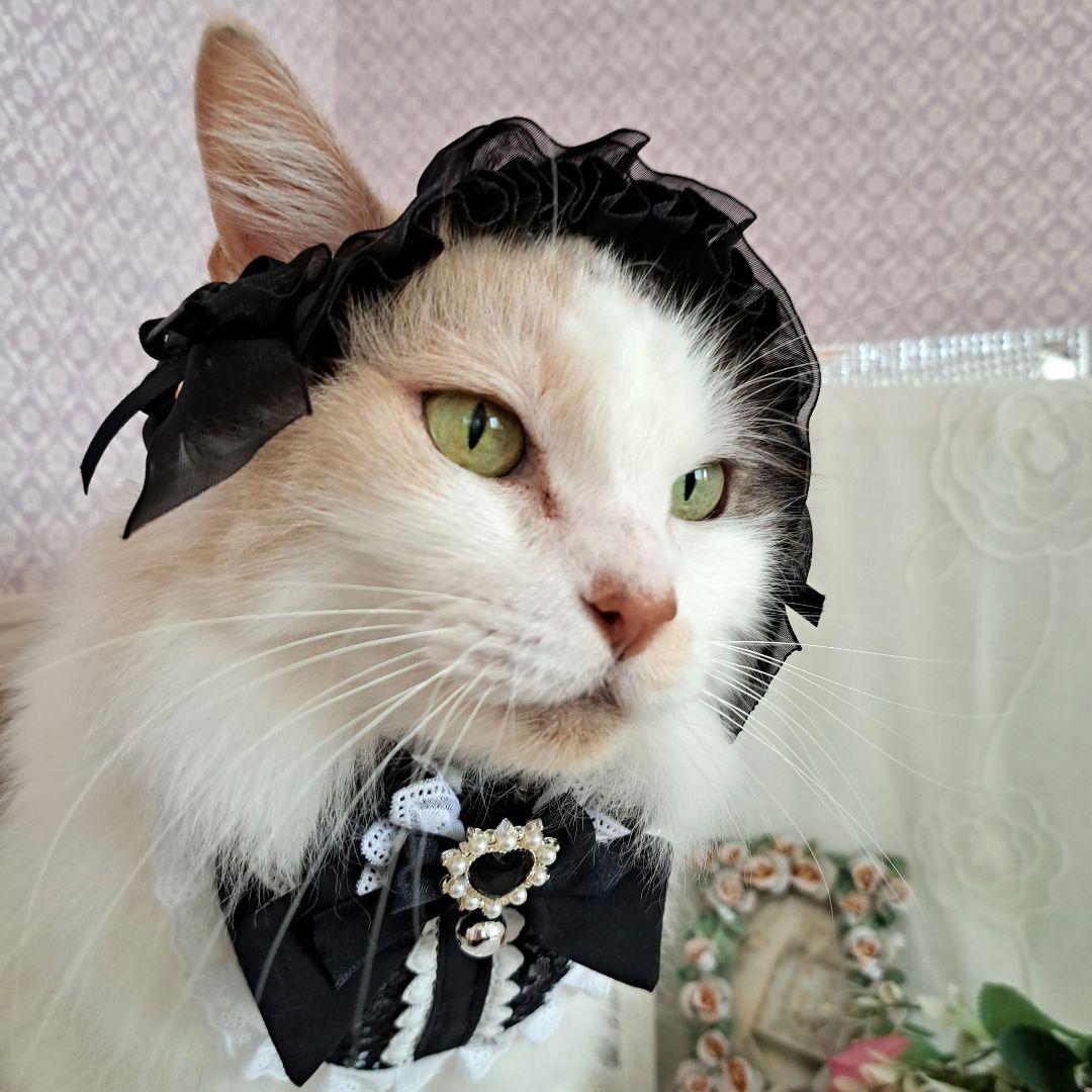 ハロウィン、ゴスロリタイプ(パープル)わんちゃん猫ちゃん用首輪 猫