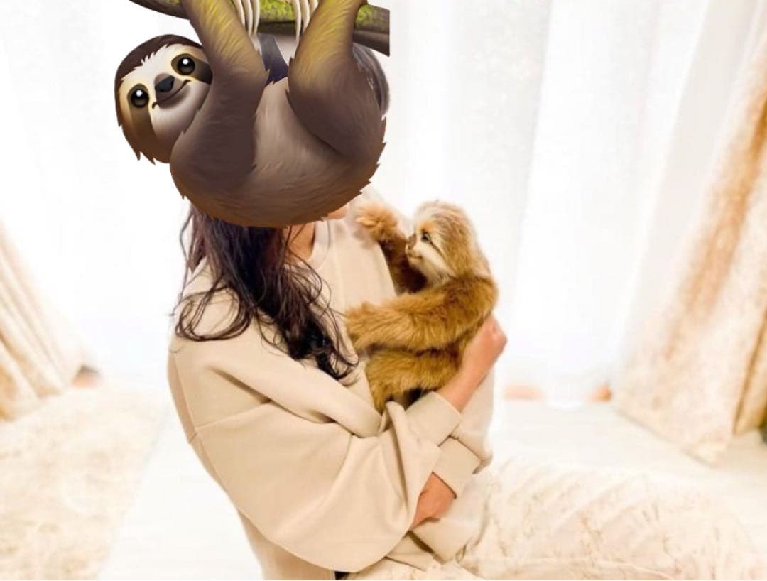 アートドールナマケモノぬいぐるみセット91000円値下げ