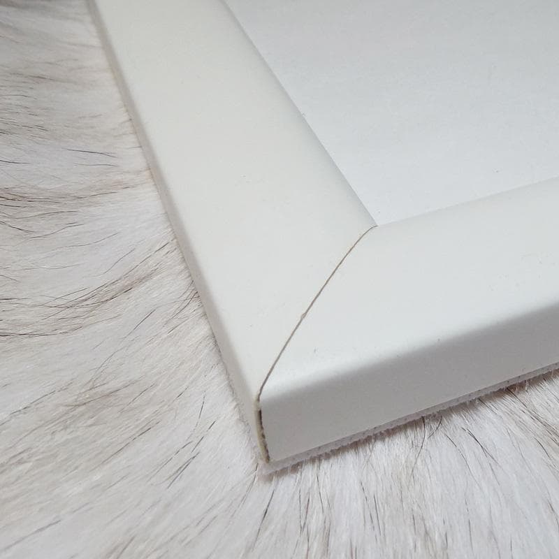 ロドニー2/ロドニー グリーンブラット/額装作品