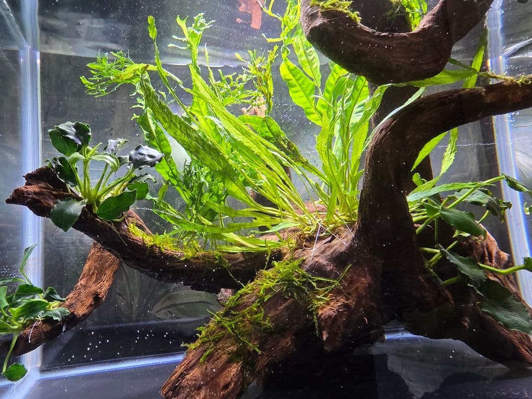 つっちー様 商談中になります。