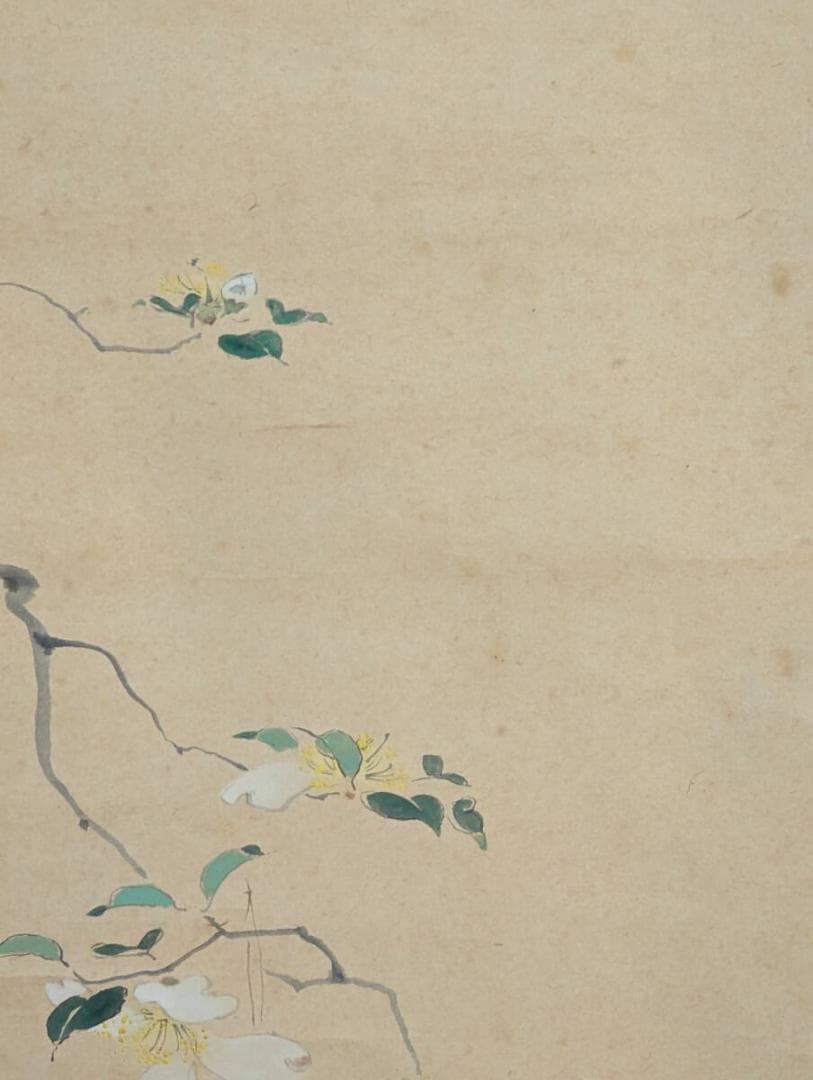 真作】掛軸 初冬 優雅な花鳥画で季節を彩る 繊細な筆致 共箱入 T179