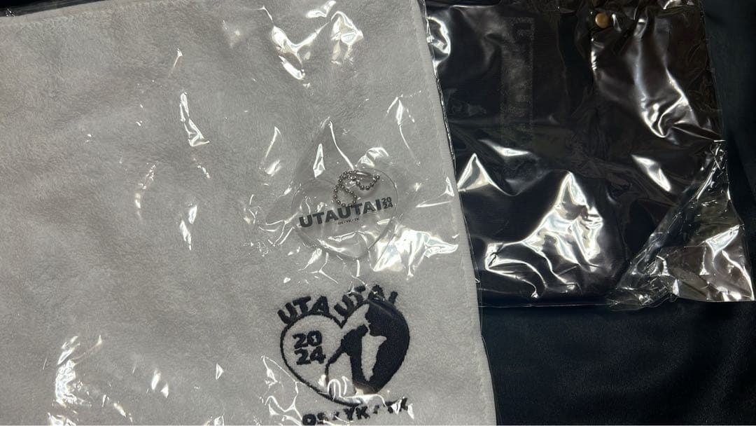 島袋寛子パンフサイン入り　おまけでグッズのトレカ３枚缶バッチ2個お付けします