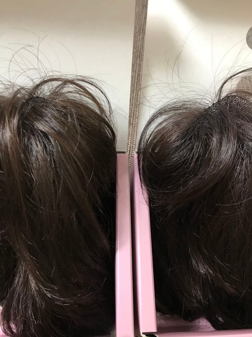 フェザー レオンカウィッグ EX-15 F2モダアクリル人毛