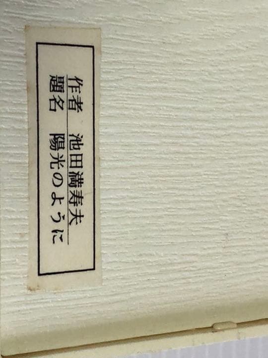 池田満寿夫　陽光のように