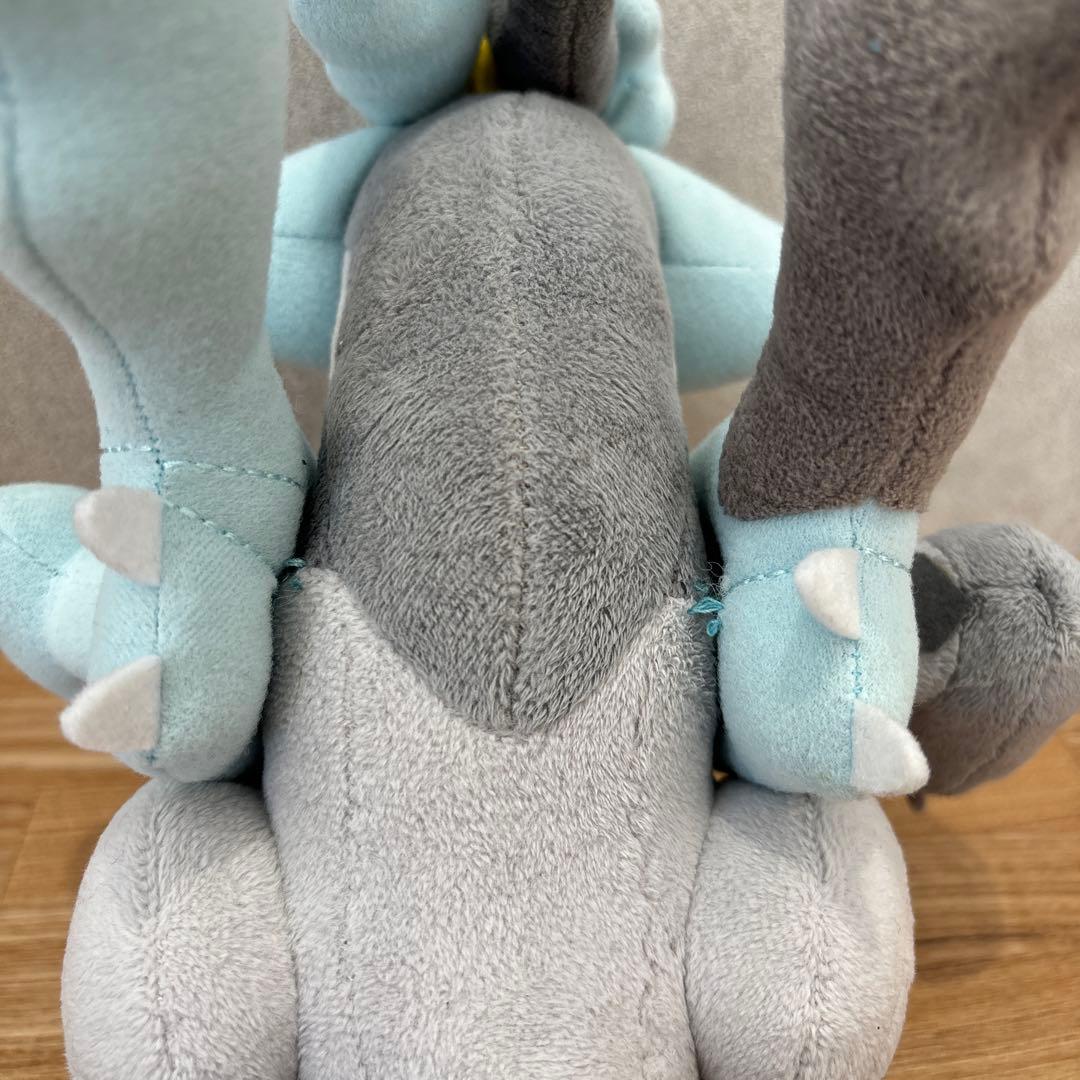 一点もの/廃盤/2012年】ホワイトキュレム ブラックキュレム ポケドール