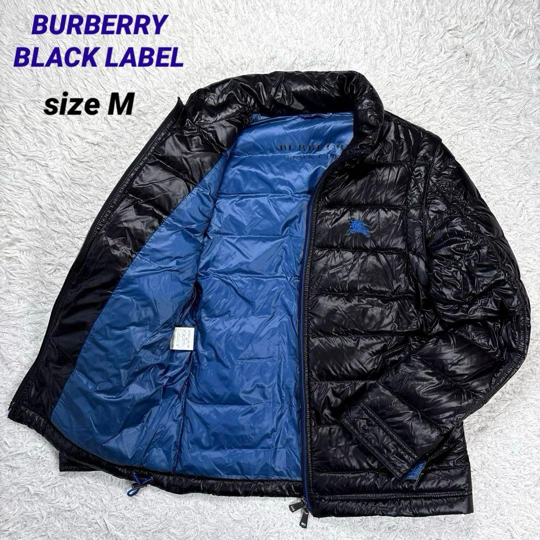 書/水墨画 馬骨 子才林x村瀬玄妙コラボレーション作 題 〇まる