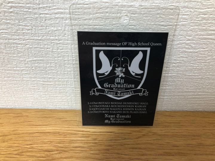 玉置成実ライブツアースタッフ用アクセスオールエリアパス