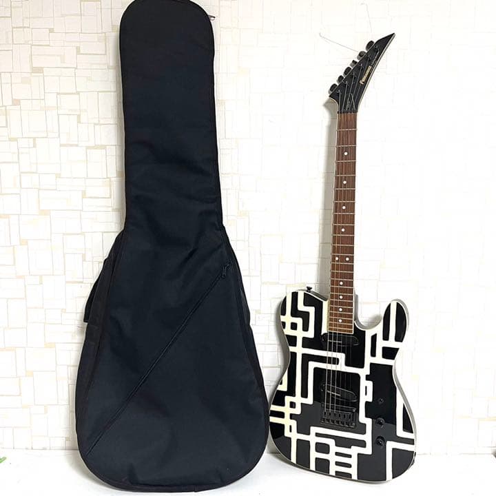 FERNANDES / TE-95HT 布袋モデル ソフトケース付き